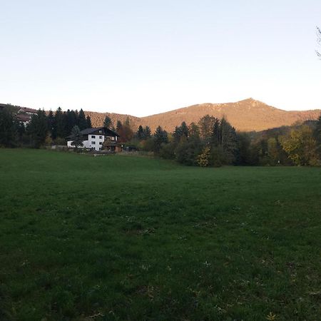 Ferienwohnung Traummichel 램 외부 사진
